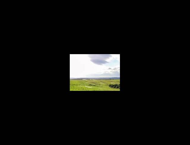 473HA FARM FOR SALE IN EAST LONDON RURAL